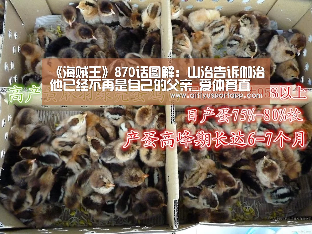 《海贼王》870话图解：山治告诉伽治他已经不再是自己的父亲_