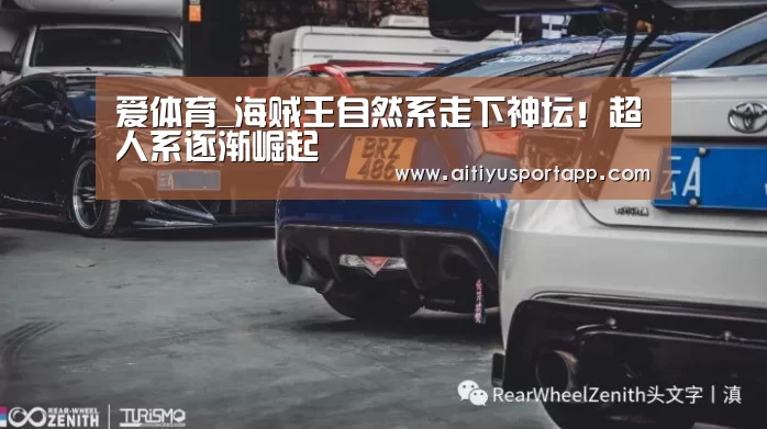 爱体育_海贼王自然系走下神坛！超人系逐渐崛起