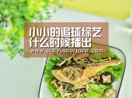 小小的追球综艺什么时候播出 小小的追球在哪里可以看|爱体育直